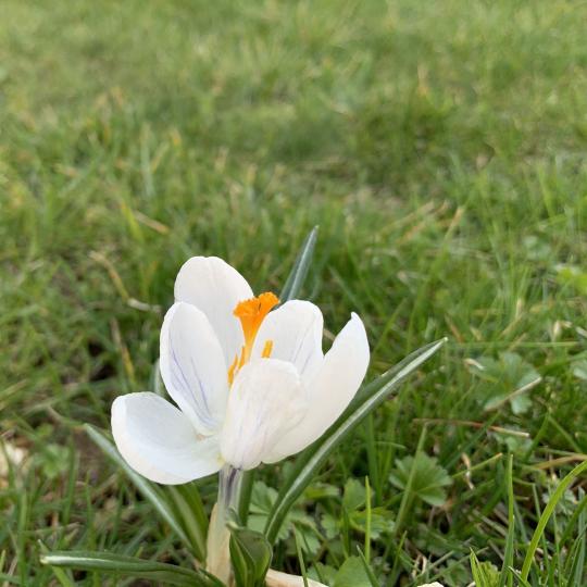 Heizen mit einer Sole Wärmepumpe